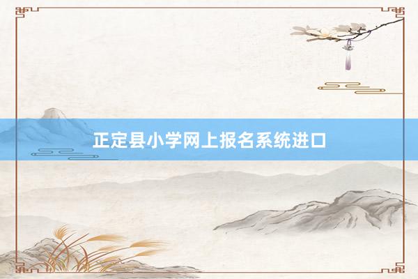 正定县小学网上报名系统进口