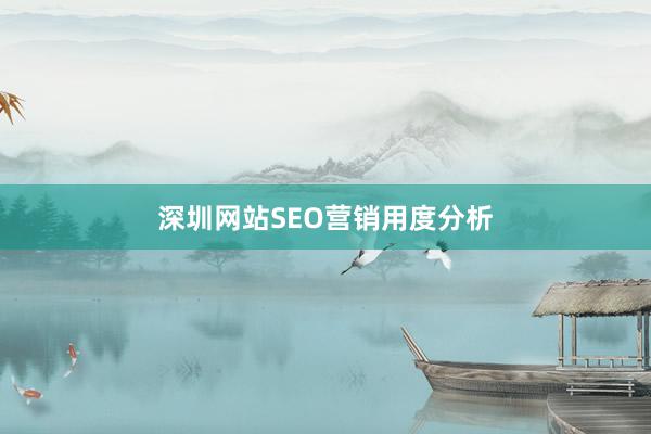 深圳网站SEO营销用度分析