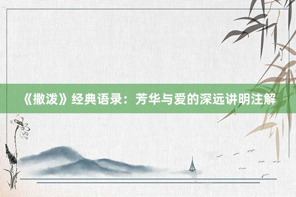 《撒泼》经典语录：芳华与爱的深远讲明注解