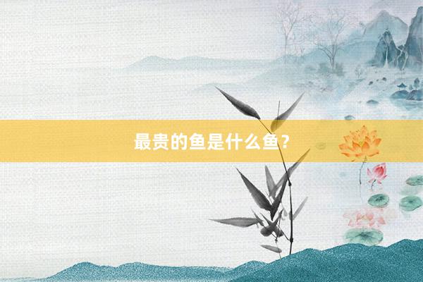 最贵的鱼是什么鱼？
